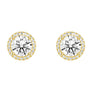 2.2 ctw Round Moissanite Pavé Halo Stud Earrings - MSBLUE JEWELRY