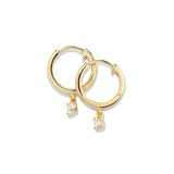 Round Moissanite Hoop Earrings