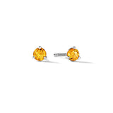 Solitaire 12 Birthstones Mini Studs