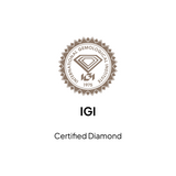 0.50 CT IGI Certified Princess Cut Lab Grown Diamond